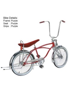 20 Lowrider collection Bike 529-1 Purple.